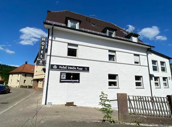 Weisse Rose By Strada